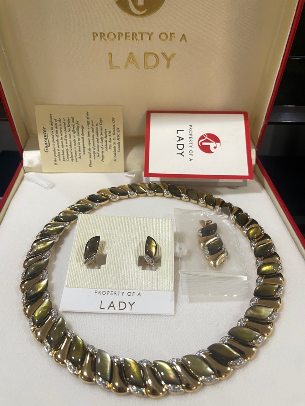 Portrait of a Lady Vintage Necklace & Earring Set